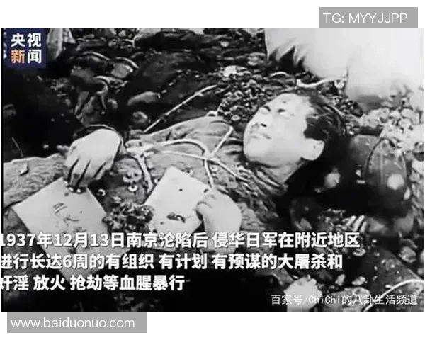 南京乒乓球队成长历程的真实记录与背后的奋斗故事